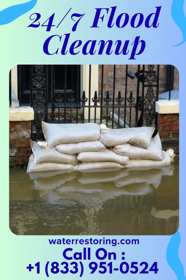 24/7 Flood Cleanup in Bavaria, KS