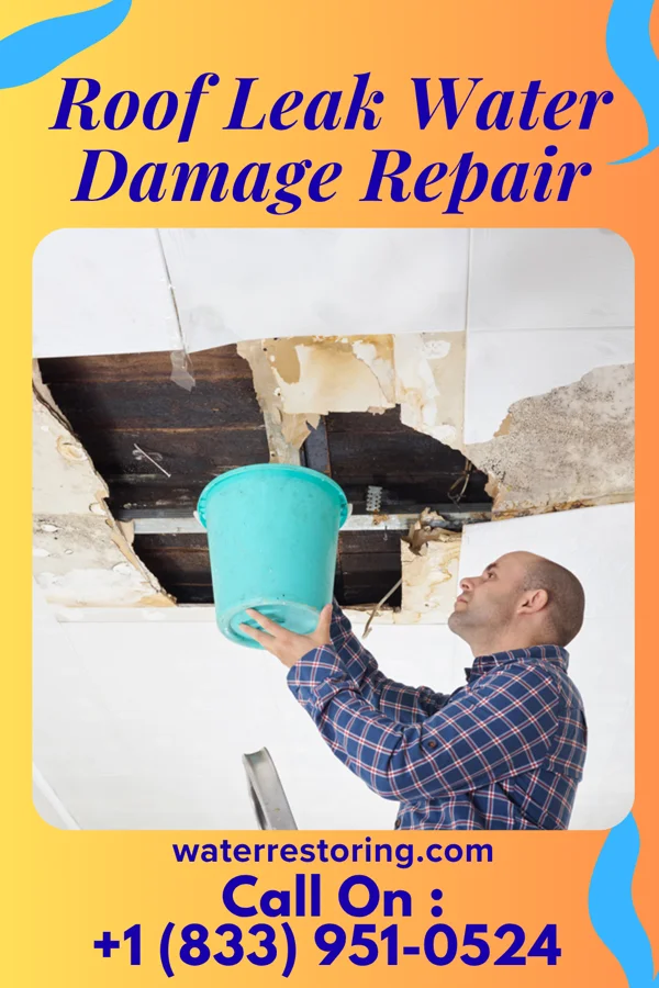 Roof Leak Water Damage Repair in Bavaria, KS